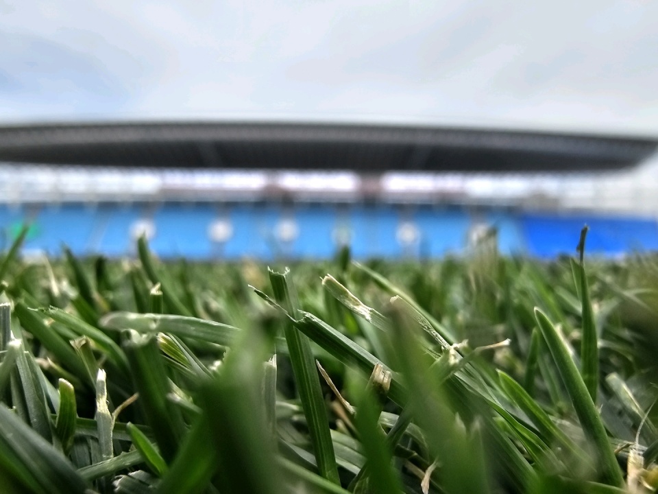 我们来说是, 和精力全放, 我们有能力 我们来说是, 和精力全放, 我们有能力